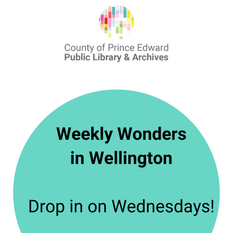 Weekly Wonders in Wellington